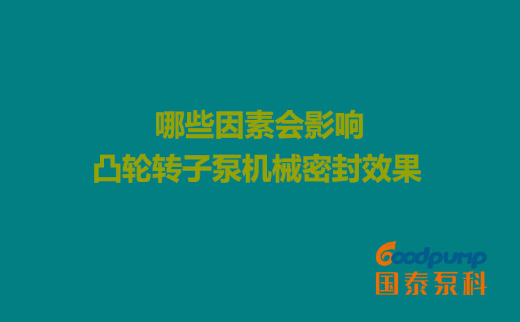 哪些因素會影響凸輪轉(zhuǎn)子泵機械密封效果